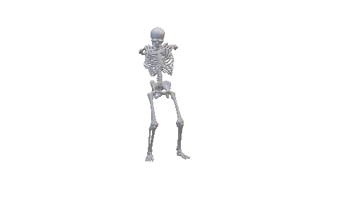 Skeleton Walking